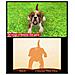 Ninten Dogs + Cats: Golden Retriever & New Friends, 3DS, Simulazione, E (tutti)  - Foto miniatura 4